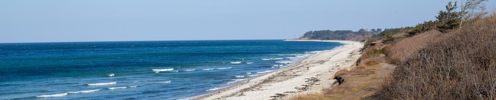 © 2025 Carolina Echeverri